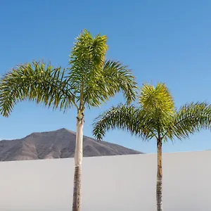 Alay By Buenavilla Playa Blanca (Lanzarote)